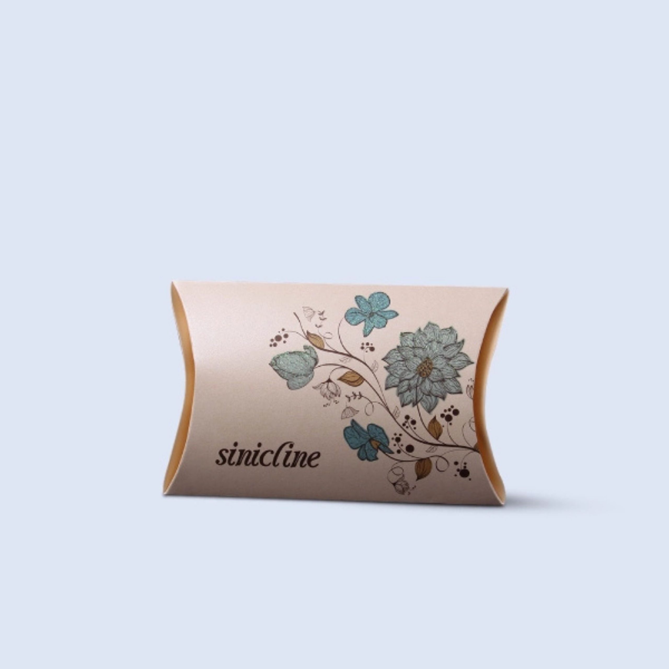 Comprehensive Guide to Kraft Pillow Packaging Boxes: Expert Insights
