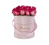Plant Packaging Boxes